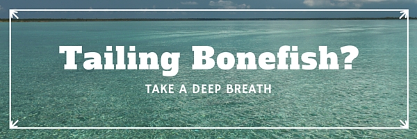 tailing bonefishing grand bahamas