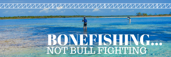 bonefishing not bull fighting