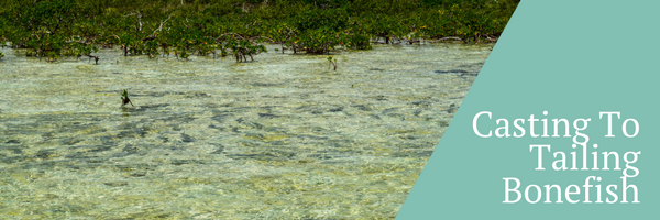 Casting to tailing bonefish