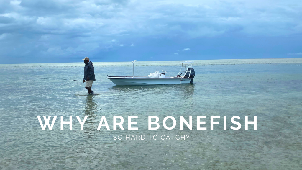Why Are Bonefish So Hard To Catch