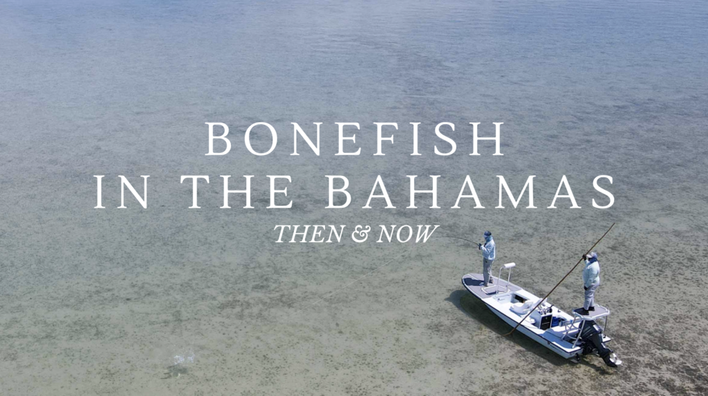 bonefish in the bahamas