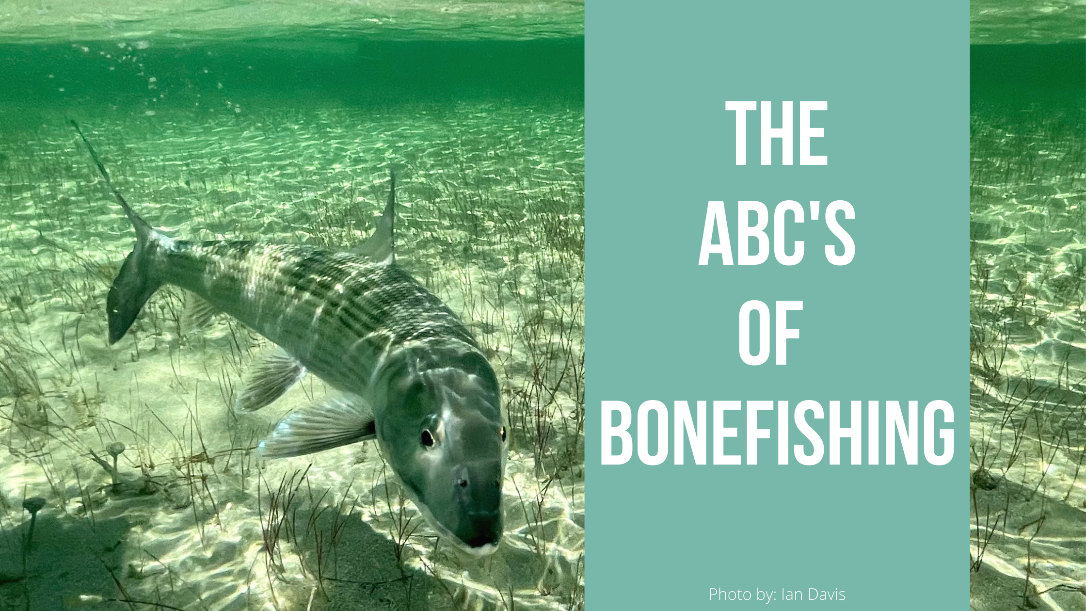 The ABC's of Bonefishing, Bonefishing Blogs