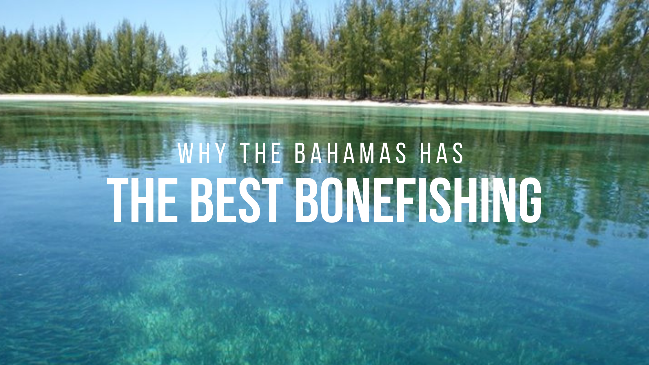 best bonefishing